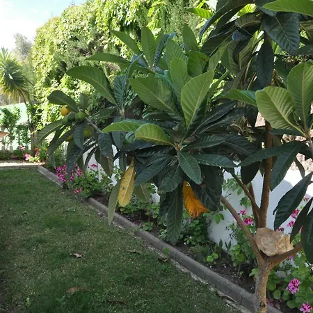 Tenis Villa *