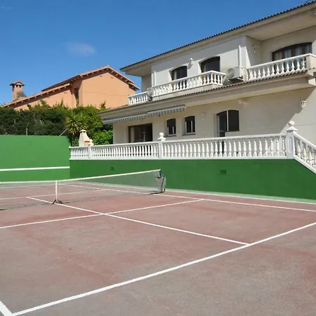 Tenis